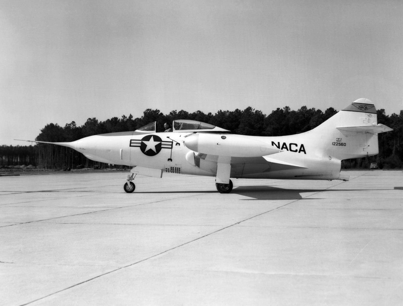 F9F Panther — chasseur 1e gen — États-Unis